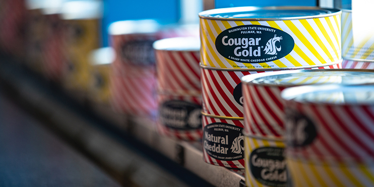 Cougar gold cheese