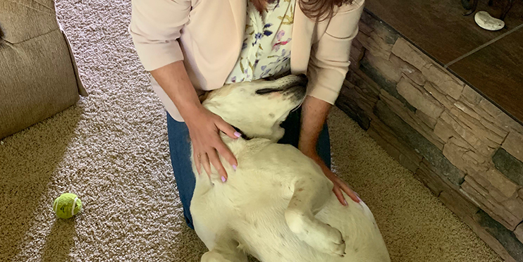 Woman petting dog