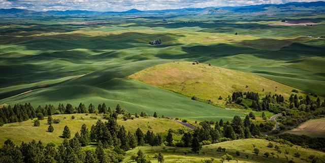 Butte, Idaho landscape - View looking down from Steptoe Butte - green fields and hills