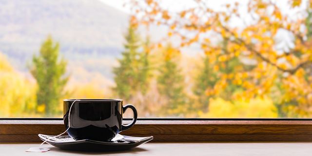 Cup of tea in front of window with autumn view