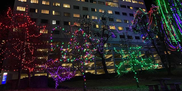 Holiday lights outside Sacred Heart Children's Hospital