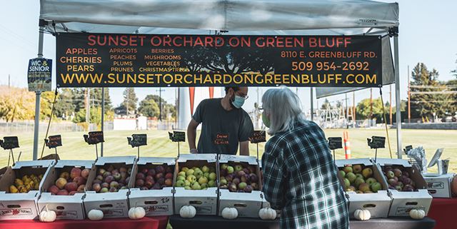 Sunset Orchard on Green Bluff fruit stall. Person browsing the different fruits