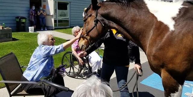 Residents at an assisted living home petting a horse