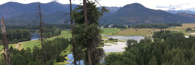 Green fields, a lake, green trees, and mountains in the distance.
