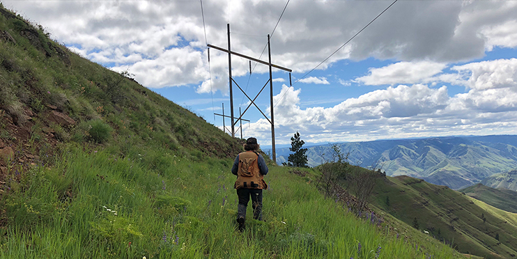 Person walking in grassy mountains