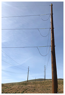 Reddish-brown steel transmission pole outside.