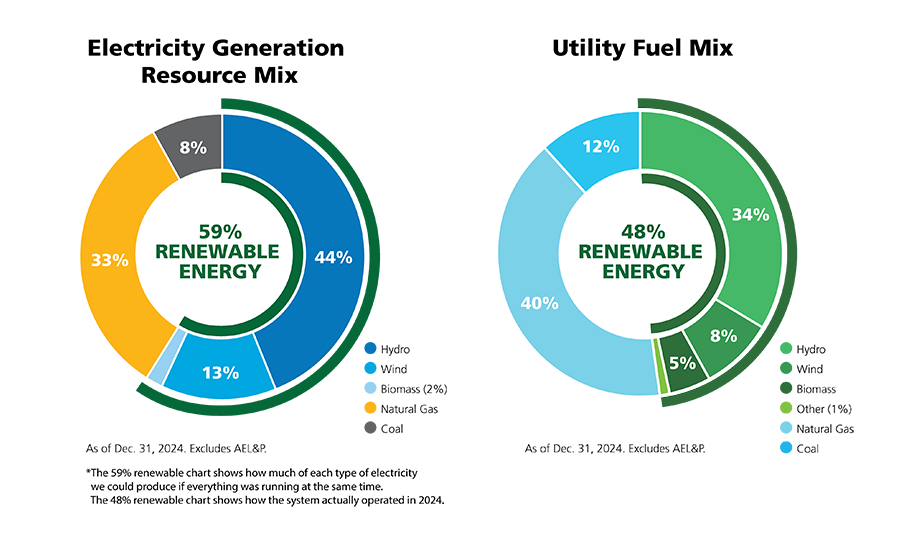 Electricity generation resource mix and utility fuel mix as od Dec 31, 2024.