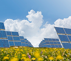 Solar panels in a field