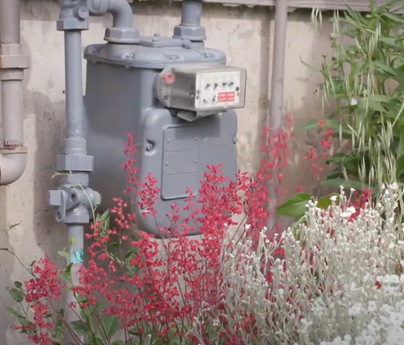 Gas meter on the side of a house with flowers off to the side of it.